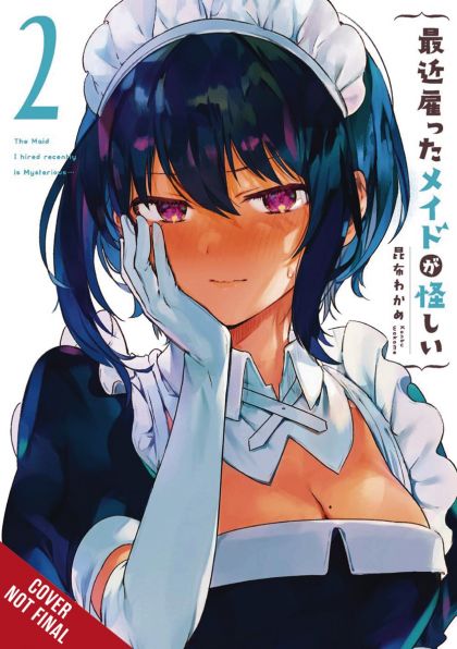 Maid I Hired Recently Is Mysterious GN VOL #2 image 0