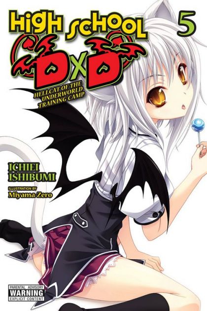 High School DxD (Light Novel) VOL #5 image 0