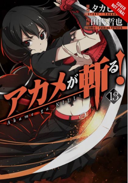 Akame Ga Kill GN VOL #13 image 0