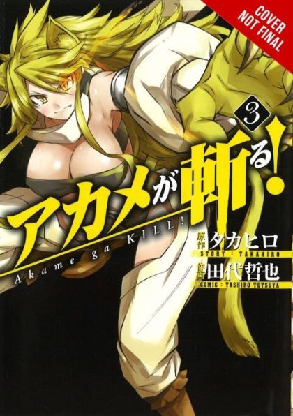 Akame Ga Kill GN VOL #3 image 0