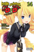 High School DxD (Light Novel) VOL #14 image 0