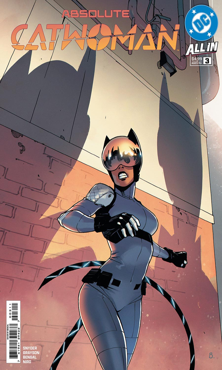 Comic book cover for Absolute Catwoman #3 from DC Comics, featuring Catwoman in a gray and black bodysuit with a striped tail, standing in front of a brick wall under dramatic shadows.
