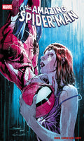 Comic book cover featuring Spider-Man and a woman with a blue and pink color scheme.