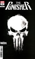 Comic book cover featuring the Punisher logo on a black background