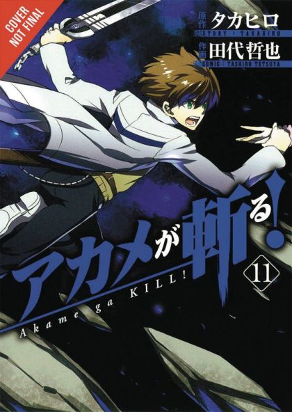 Akame Ga Kill GN VOL #11 image 0