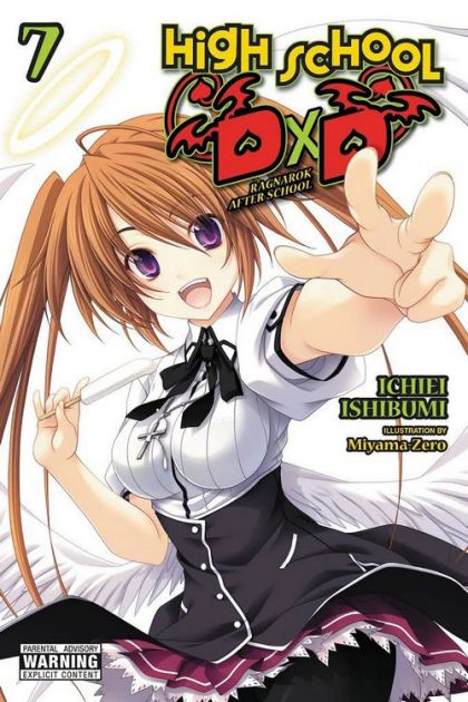 High School DxD (Light Novel) VOL #7 image 0