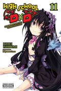 High School DxD (Light Novel) VOL #11 image 0